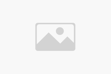 政企联动促发展：董家街道及临港经济开发区领导莅临大恒能源集团考察交流